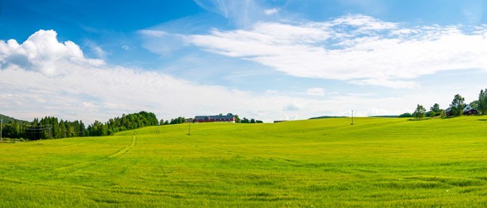Foto: Istockphoto.com
